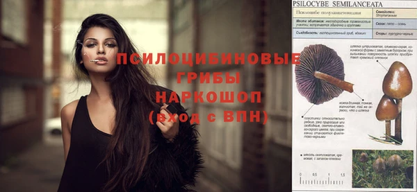 jwh Верхний Тагил