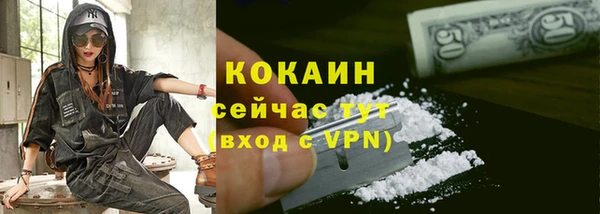 ПСИЛОЦИБИНОВЫЕ ГРИБЫ Верхнеуральск