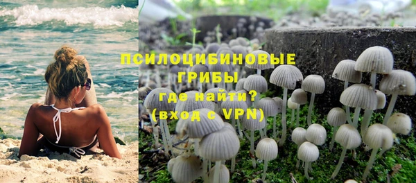 ПСИЛОЦИБИНОВЫЕ ГРИБЫ Верхнеуральск