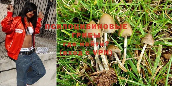 ПСИЛОЦИБИНОВЫЕ ГРИБЫ Верхнеуральск