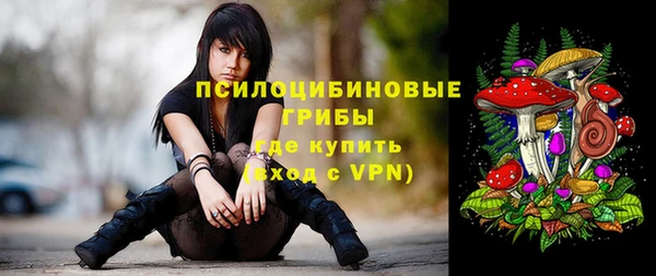 jwh Верхний Тагил