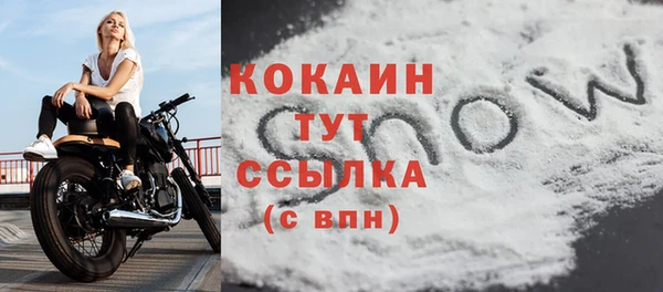 ПСИЛОЦИБИНОВЫЕ ГРИБЫ Верхнеуральск