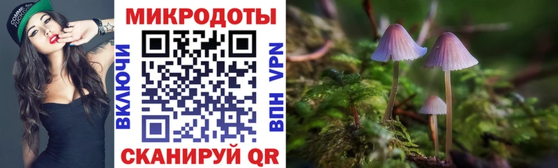 Купить где  Великий Устюг  Псилоцибиновые грибы GOLDEN TEACHER 